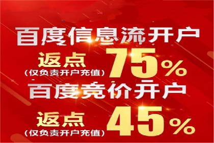 SEM广告投放的创意与执行：成功案例剖析